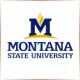 Montana State University - Film School Ranking