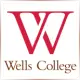 Wells College - Film School Ranking